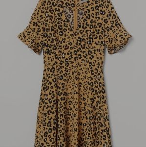 H&M Leopard Print  Pin Up Dress